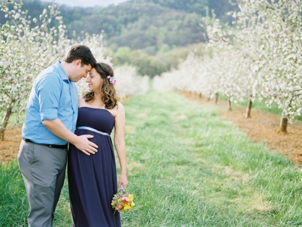 Session Share: An Apple Orchard Maternity Session, from Elizabeth