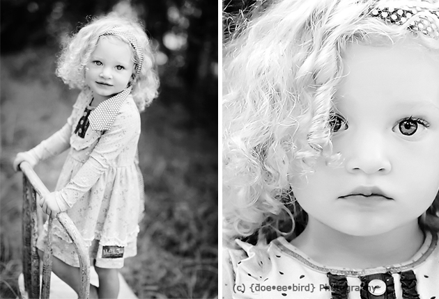 doe ee bird blog 3 for napcp