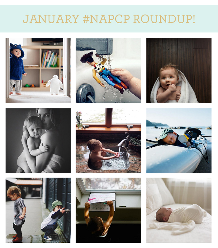 NAPCPJanuaryRoundup