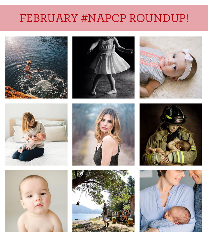 NAPCPFebruaryRoundup