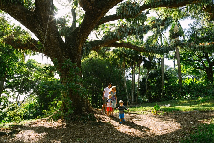 Little-Bird-Photography-Hawaii-Nuuanu-Park-family-photography-01