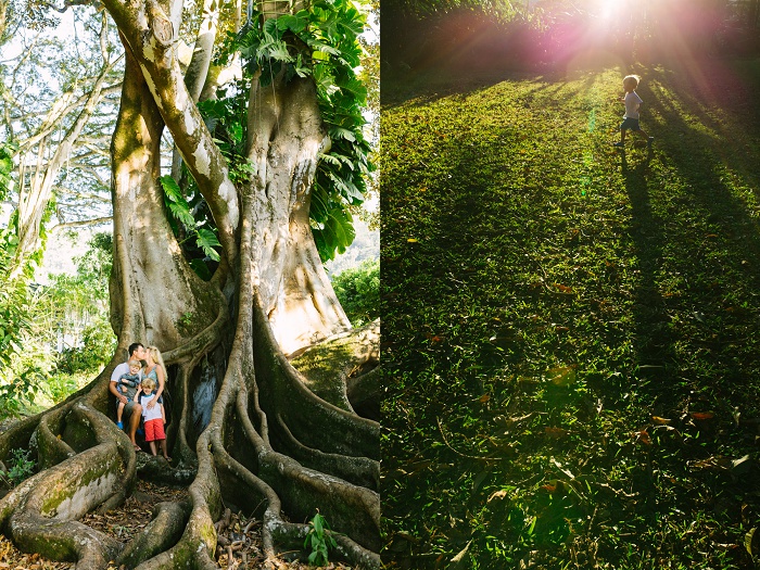 Little-Bird-Photography-Hawaii-Nuuanu-Park-family-photography-03