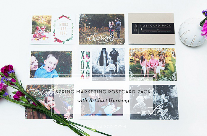 pinterest-branding-horiz-(final)springcard