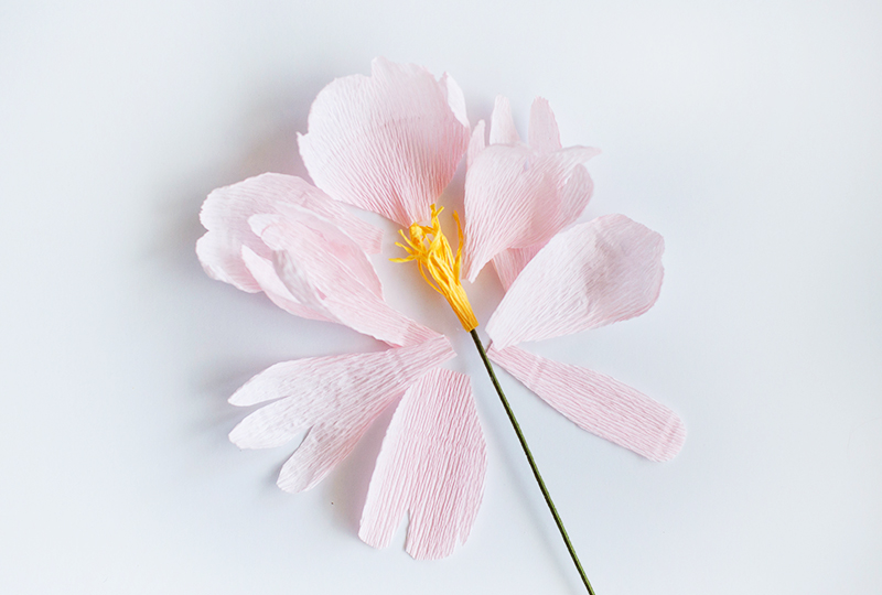 Mother's Day Paper Flower Bouquet DIY! - National Association of