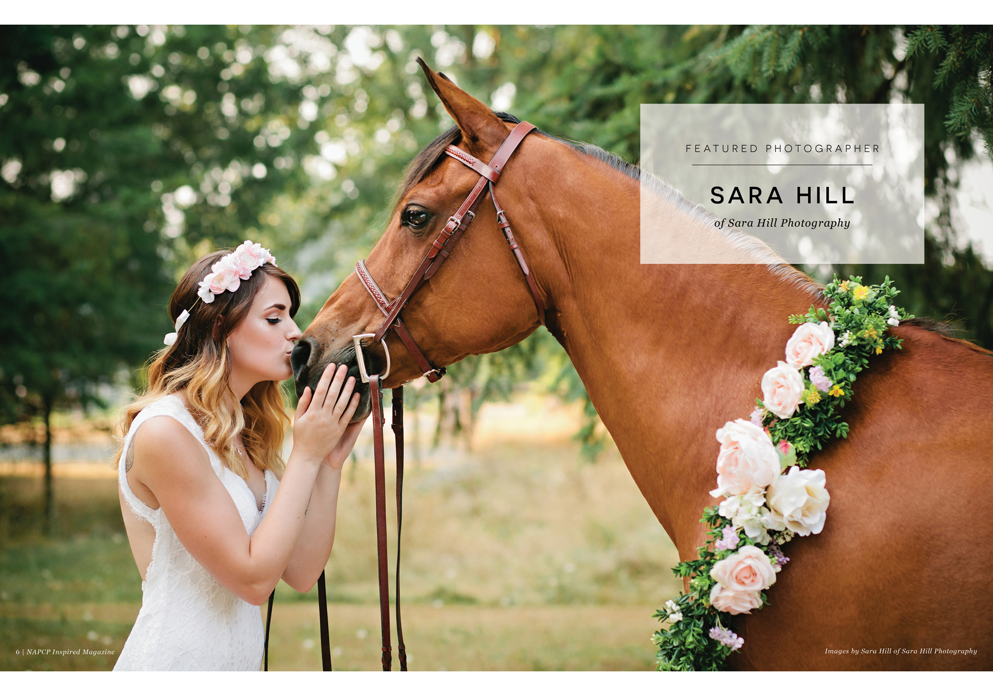 Featured Photographer Sara Hill of Sara Hill Photography