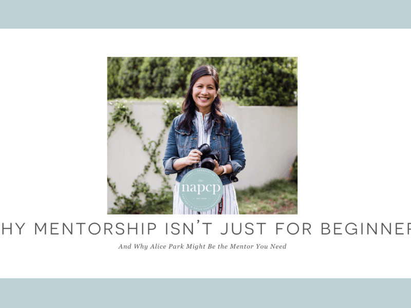 Mentorship for Photographers with Alice Park NAPCP