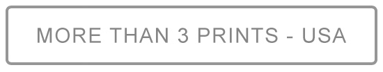 MoreThan3PrintsUSA