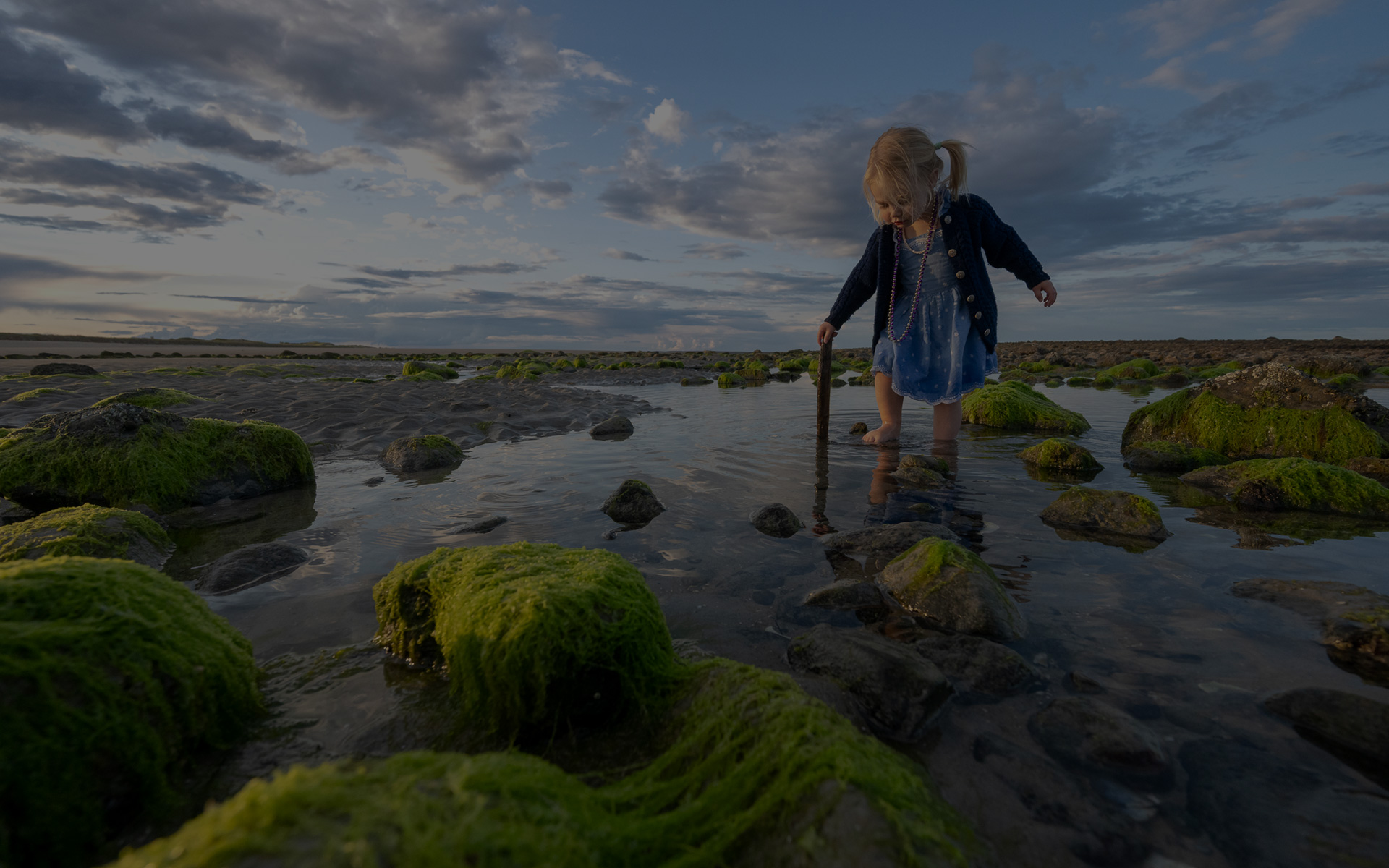 2026 International Image Competition